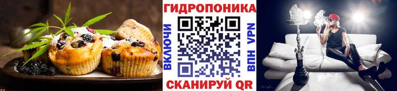 МЕГА ССЫЛКА  Суджа  Cannafood конопля 
