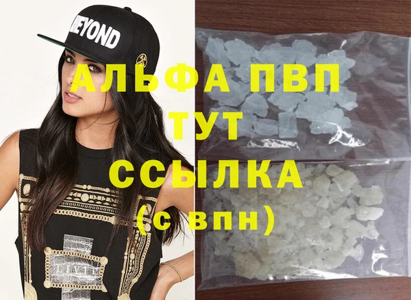 индика Балабаново