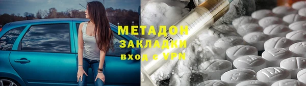 шишки Арсеньев