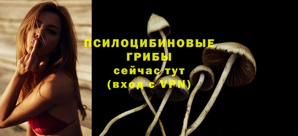 шишки Арсеньев