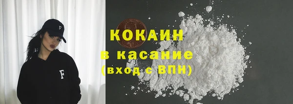 шишки Арсеньев