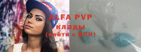 индика Балабаново