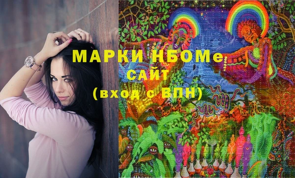 шишки Арсеньев