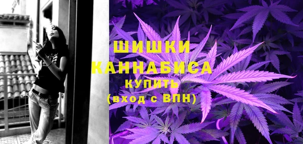 PSILOCYBIN Армянск