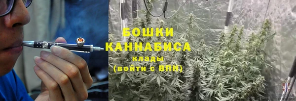 PSILOCYBIN Армянск