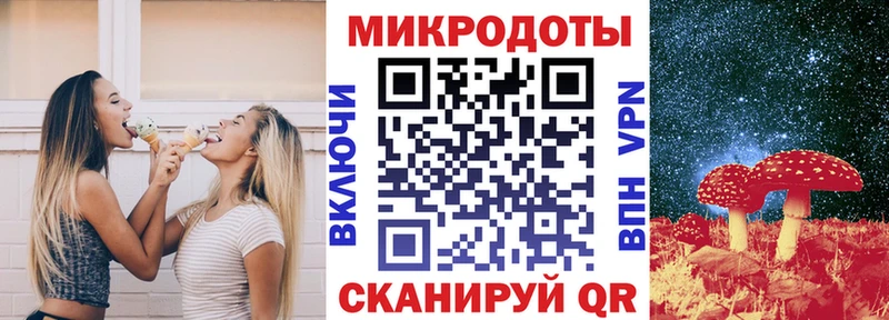 Псилоцибиновые грибы Cubensis  Суджа 